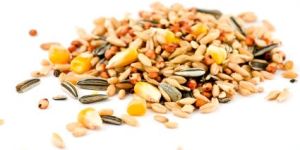 Chicken Feed