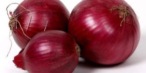 Fresh Onion