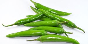 Fresh Green Chilli
