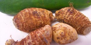 Fresh Taro Root