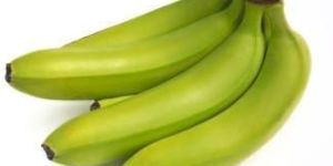 Fresh Cavendish Green Banana