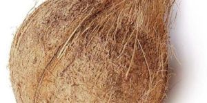 Semi Husked Coconuts