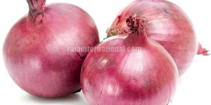 Fresh Red Onion
