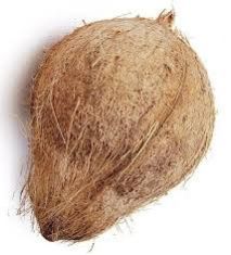 Pollachi Coconut