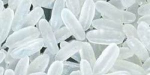 PR-14 Non Basmati Rice