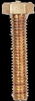 Brass Bolts