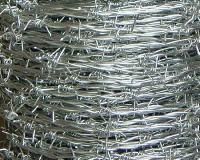 Galvanized Barbed Wires