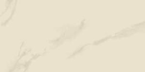 Ceramic Lavish Tiles