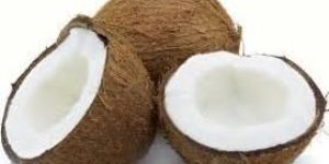 Fresh Coconut