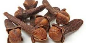 Clove Oil