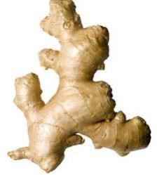 Fresh Ginger