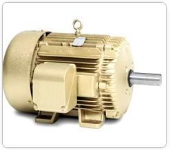Customized Motors
