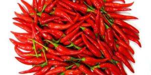 Red Chili