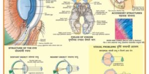 Educational Charts