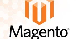 Magento Development Services