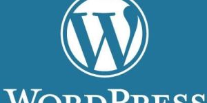 Wordpress Theme Development Services