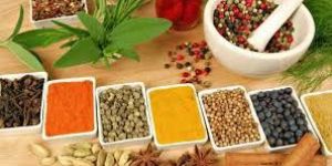Indian Spices
