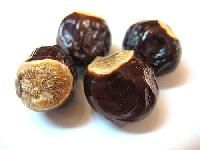 Fruit Seeds