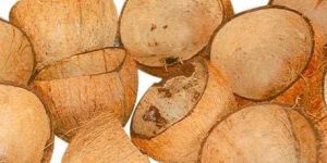 Coconut Shell