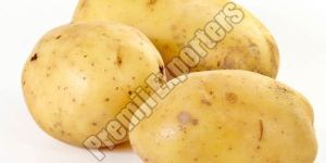 Fresh Potato