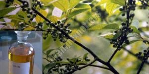 Nilgiri Oil
