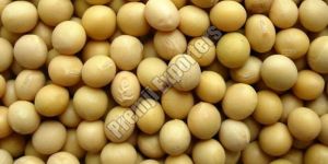 Soybean Seeds