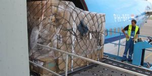 Air Freight Forwarding