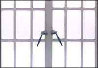 Steel Window Section