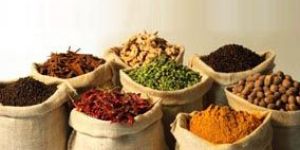 Indian Spices