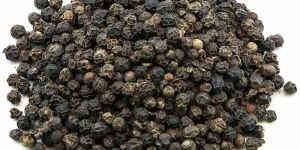 Black Pepper Seeds
