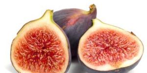 Fresh Fig