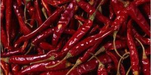 Dried Red Chilli