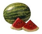 Fresh Watermelon