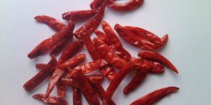 Dry Red Chilli