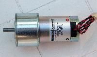 Gear Head Motors