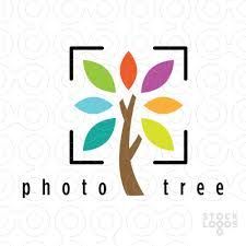 Professional Website Design Service