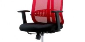Matrix High Back Ergonomic Office Chair