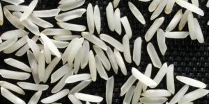 Sharbati Basmati Rice