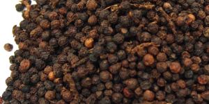 Black Pepper Seeds