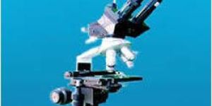 Research Trinocular Microscope