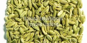 Fennel Seeds