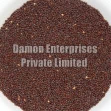 Brown Mustard Seeds