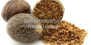 Nutmeg
