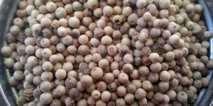 White Pepper Seeds
