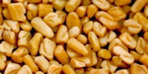 Fenugreek Seed