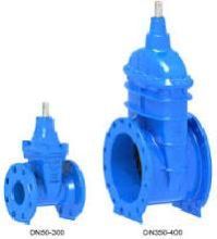 Cast Iron Gate Valve