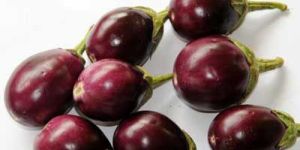 Fresh Brinjal