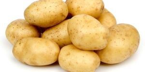 Fresh Potato