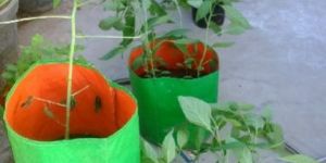 HDPE Bags