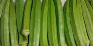 Fresh Okra